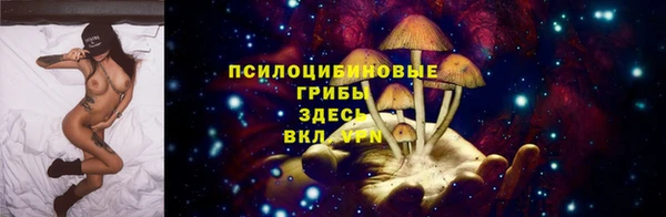 прущая мука Абаза