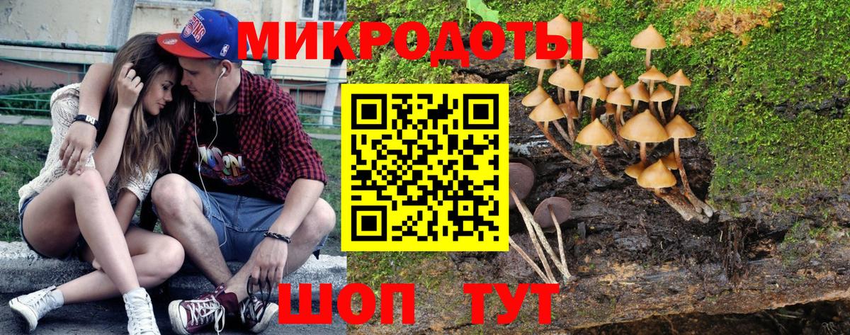 Галлюциногенные грибы MAGIC MUSHROOMS Торжок