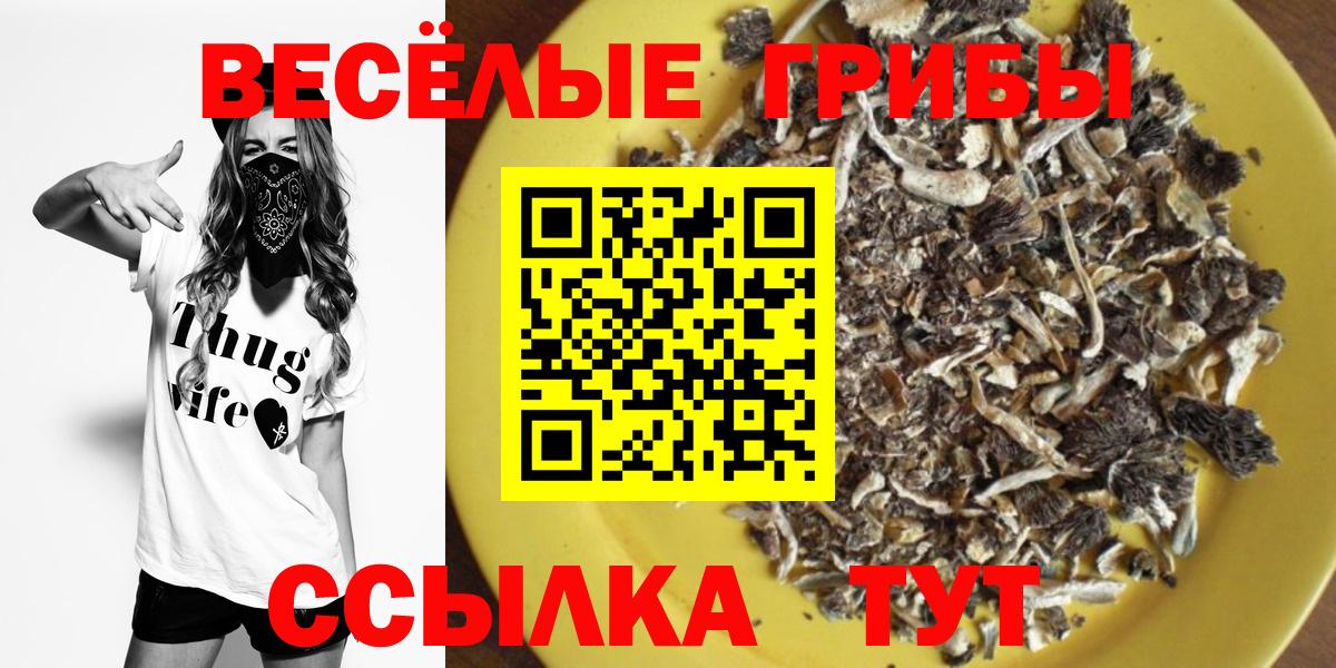 Торжок  Псилоцибиновые грибы GOLDEN TEACHER  Вход с VPN  Псилоцибиновые грибы мицелий 