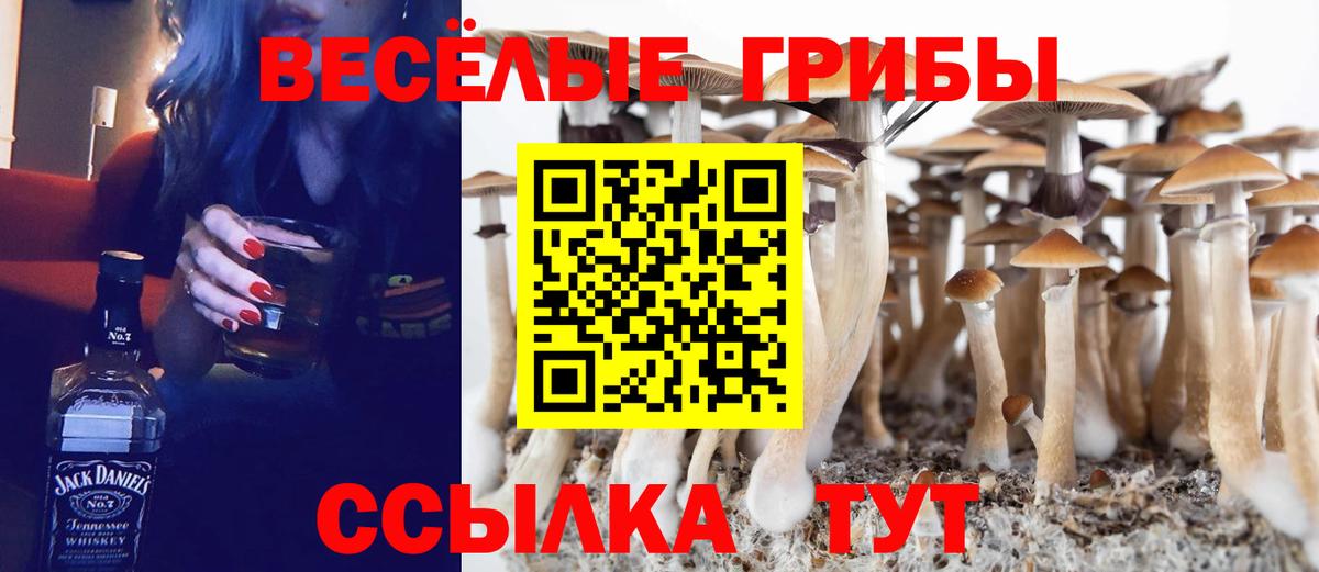 Гашиш  Вход с VPN  A-PVP СК кристаллы  МЕФ   Торжок  МАРИХУАНА  COCAIN  Гашиш 